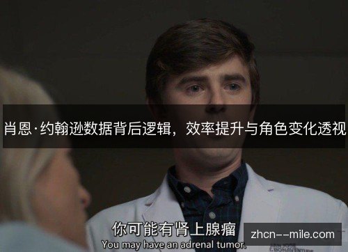 肖恩·约翰逊数据背后逻辑，效率提升与角色变化透视